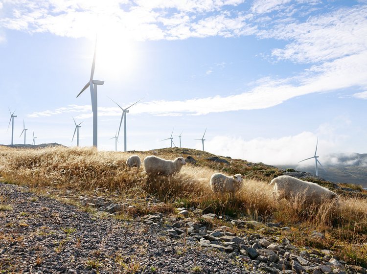 Aquila Capital Wind turbines in the nature