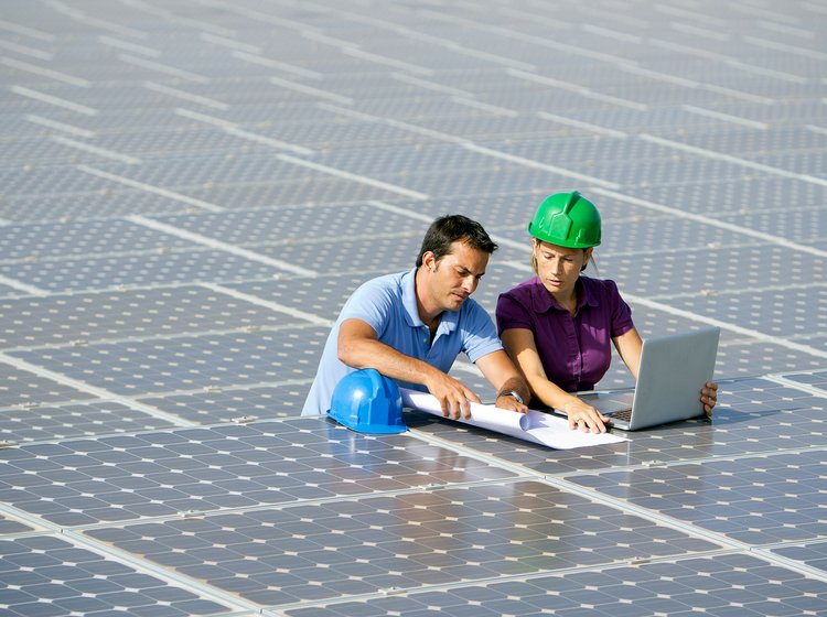 two staff members working in between a solar park