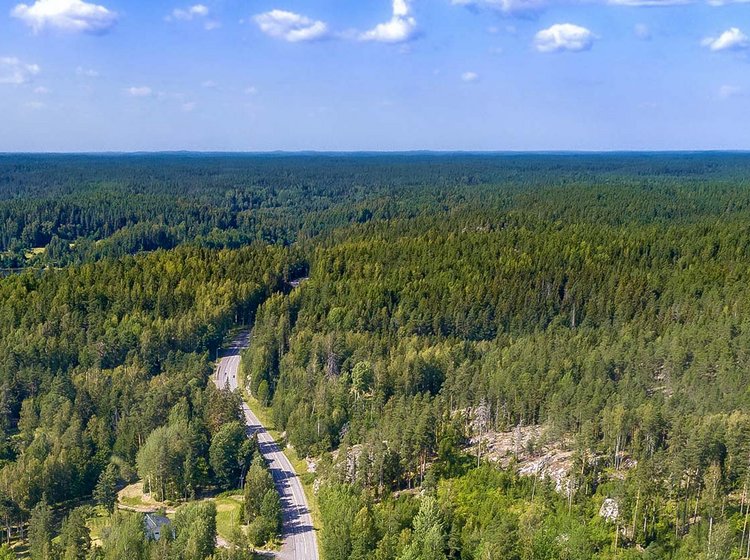 Grosse Fläche an Wald als Investment